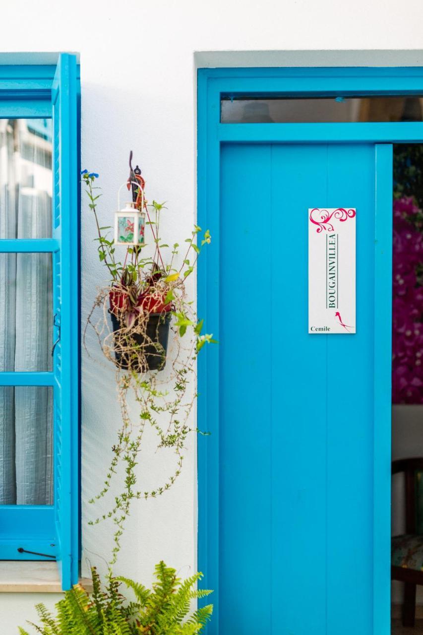 Cypriot Swallow Boutique Hotel Nicosie Extérieur photo